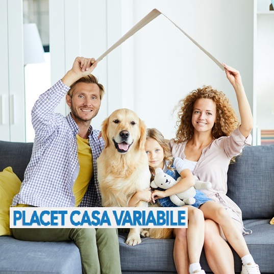 PLACET GAS VARIABILE PRIVATO